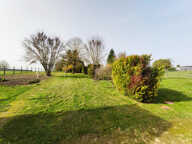 BACCON — photo 4