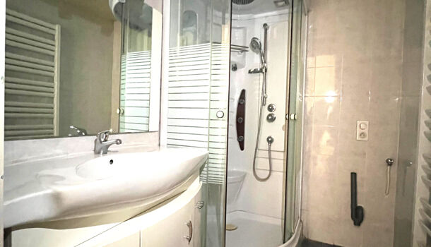 Appartement 2 pièces  à vendre Grenoble 38100