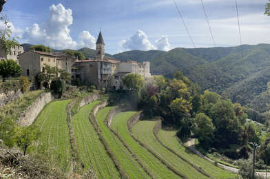 Immeuble  650000 €