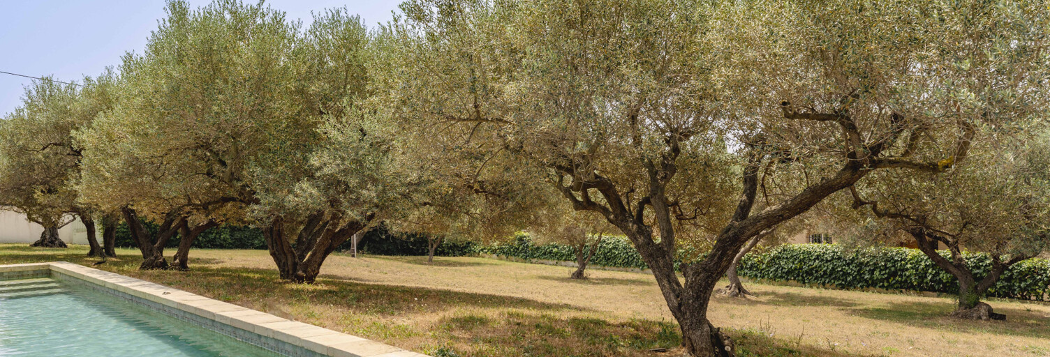 Maison 5 Pièces 196 m² à vendre à Sanary-sur-Mer (83110)