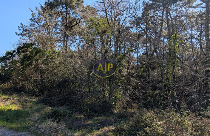 Terrain Le Verdon Sur Mer 475 m2 — photo 4
