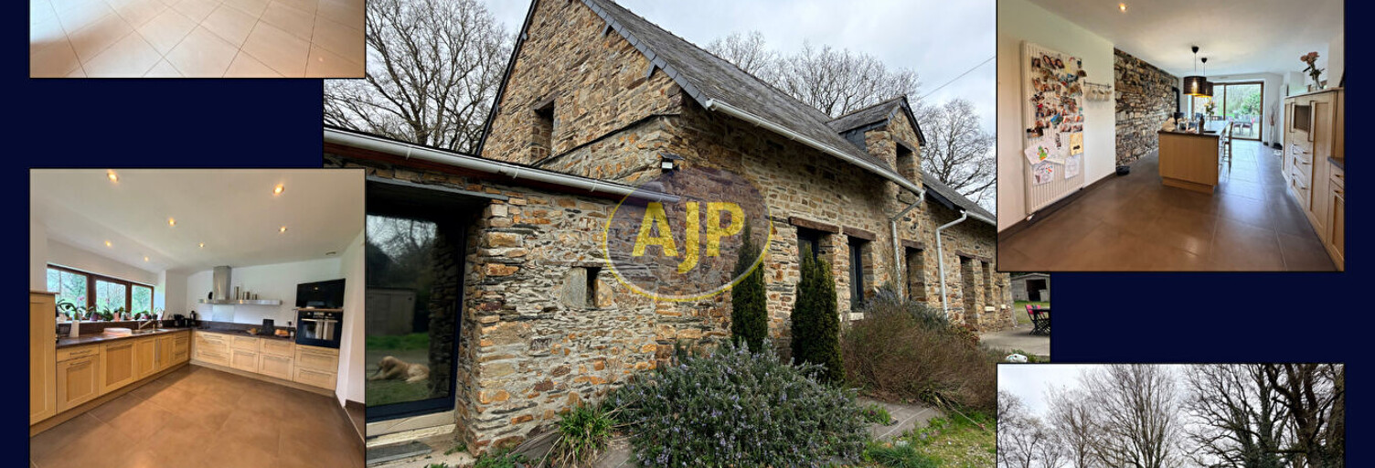 Maison 8 Pièces 209 m² à vendre à Grand-Fougeray (35390)