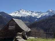 Maison — photo 3