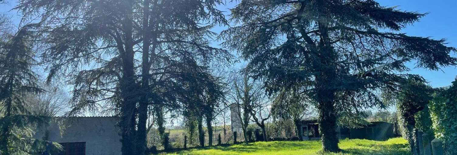 Terrain  911 m² à vendre à Bouchemaine (49080)