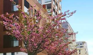 Appartement 5 Pièces 86 m² à vendre à Colombes (92700)