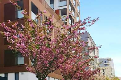 Appartement 5 pièces 475000 €