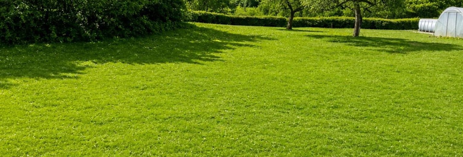 Terrain  755 m² à vendre à Granges-Aumontzey (88640)