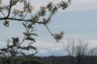 Maison 4 pièces 132000 €