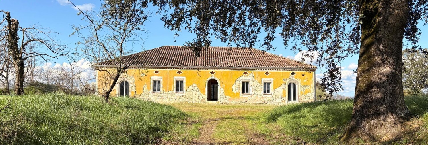 Maison 8 Pièces 360 m² à vendre à Dunes (82340)