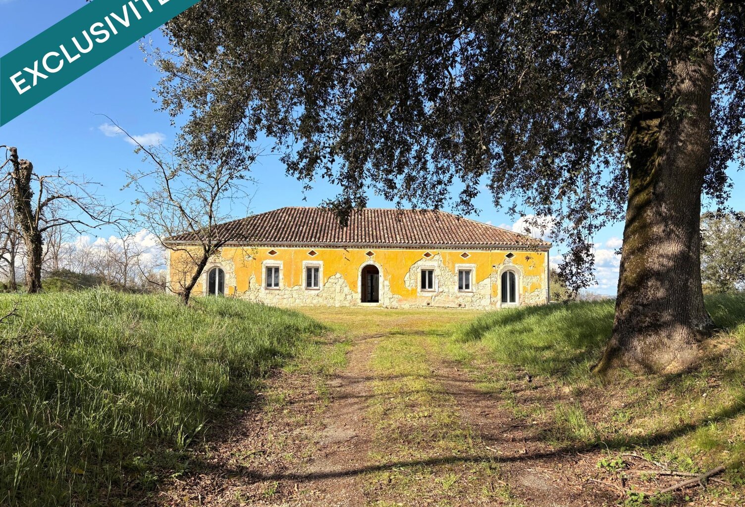 Propriété en pierre  360 m²  1,5 hectare  Oliviers  Projet d'exception à finaliser — photo 1