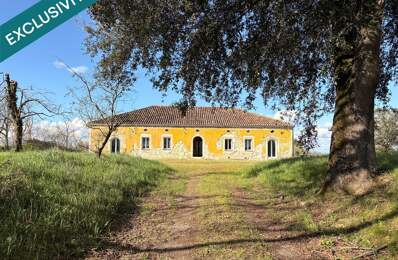 Propriété en pierre  360 m²  1,5 hectare  Oliviers  Projet d'exception à finaliser — photo du bien