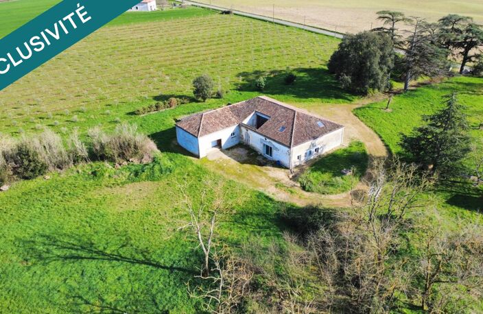 Propriété en pierre  360 m²  1,5 hectare  Oliviers  Projet d'exception à finaliser — photo 4