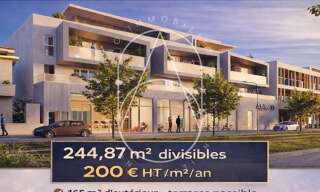 Commerce  244 m² à louer à Castelnau-le-Lez (34170)