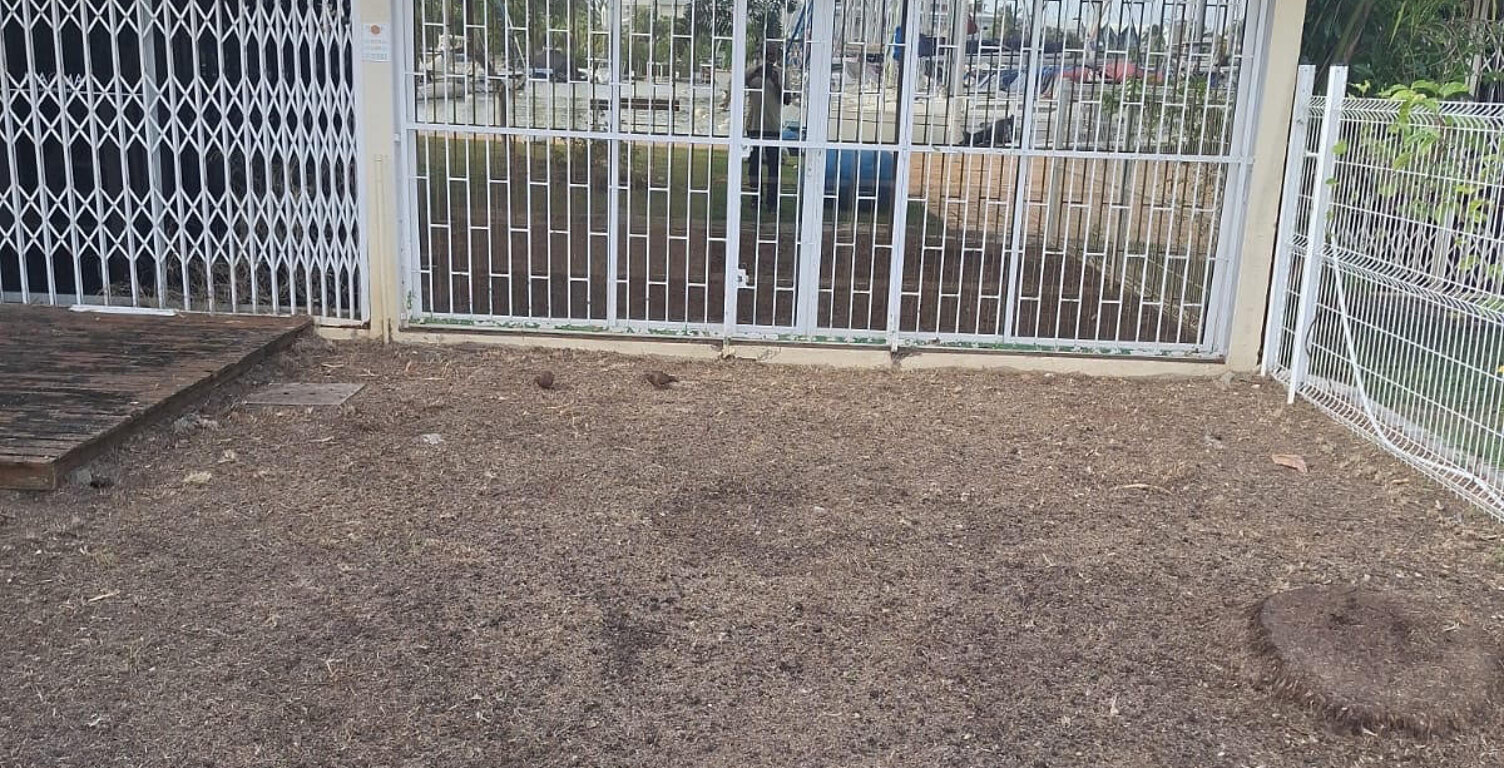 APPARTEMENT T2  AVEC JARDIN LA MARINA — photo 1