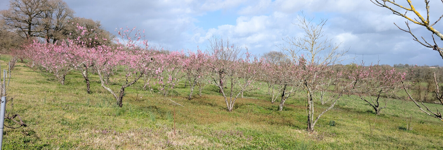 Terrain  1893 m² à vendre à Confolens (16500)