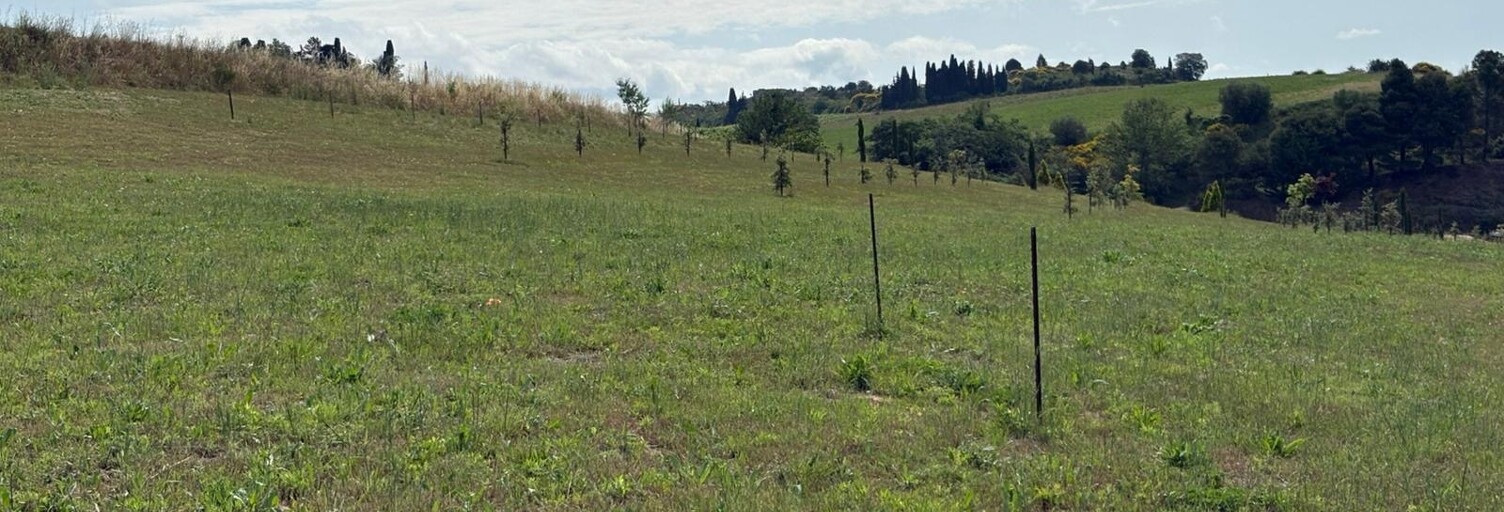 Terrain  3200 m² à vendre à Limoux (11300)