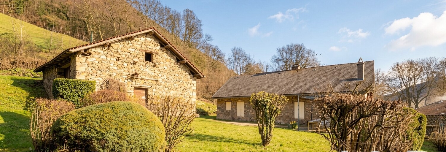 Maison 8 Pièces 250 m² à vendre à Vif (38450)