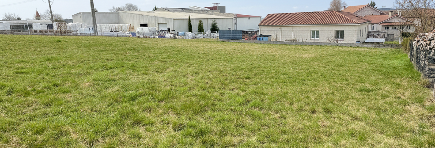 Photo N° 2