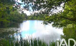 Terrain  21918 m² à vendre à Noyen-sur-Sarthe (72430)