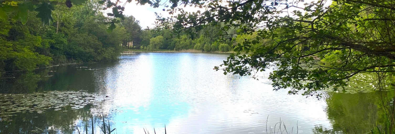 Terrain  21918 m² à vendre à Noyen-sur-Sarthe (72430)