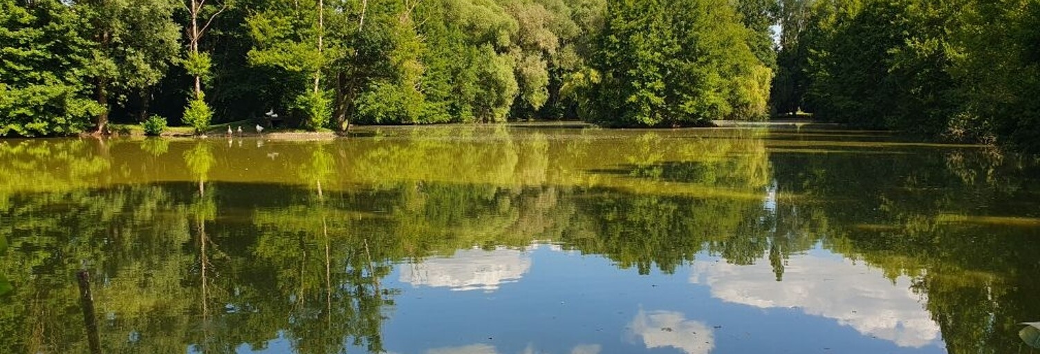 Terrain  24284 m² à vendre à Manre (08400)