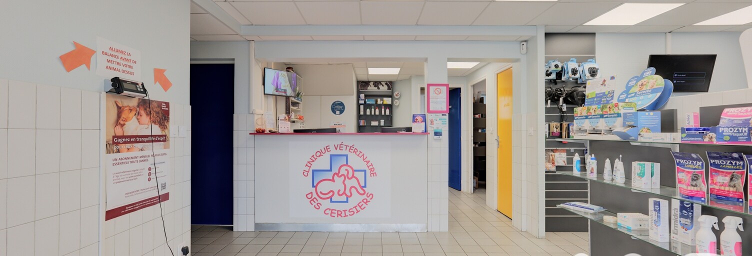 Immeuble  264 m² à vendre à Thorigny-sur-Marne (77400)