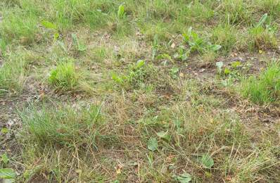 Vente Terrain 1 050 m&sup2; — photo du bien