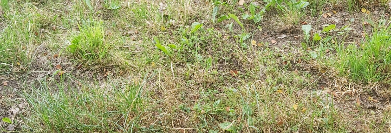 Terrain  1050 m² à vendre à Véron (89510)