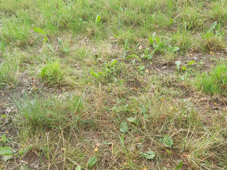 Vente Terrain 1 050 m&sup2; — photo 1