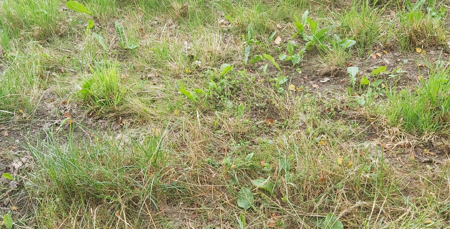 Vente Terrain 1 050 m&sup2; — photo 1