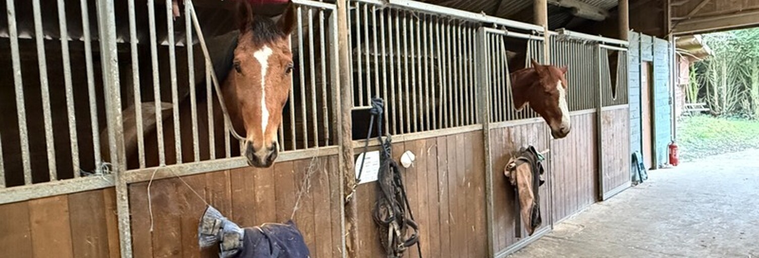 Commerce 5 Pièces 132 m² à vendre à Corcy (02600)