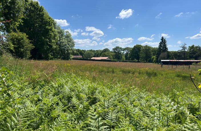 Terrain à vendre de 2 706,00 m² CHATEAUPONSAC (87) — photo 2
