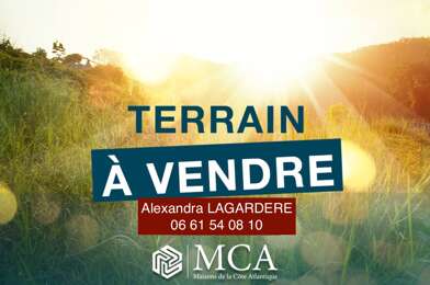 Terrain  29000 €