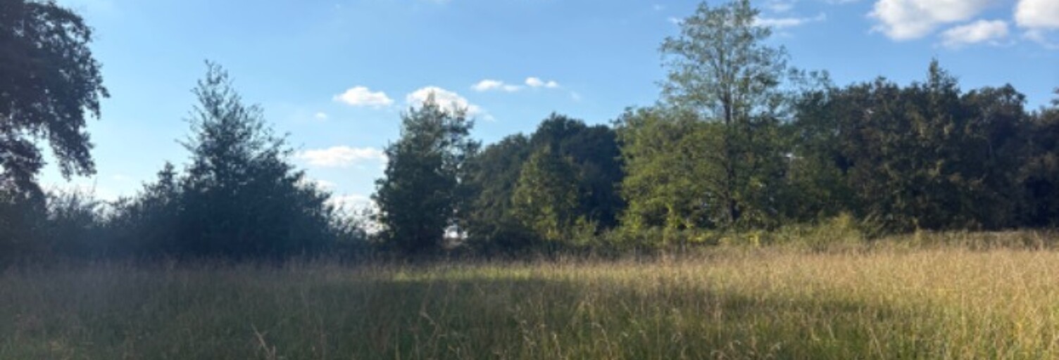 Terrain  1200 m² à vendre à Asques (33240)