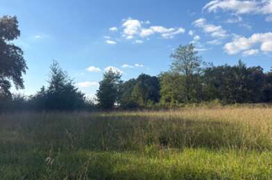 Terrain  85000 €