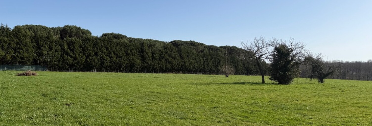 Terrain  533 m² à vendre à Saint-Pardon-de-Conques (33210)