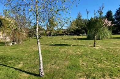 Terrain  80000 €