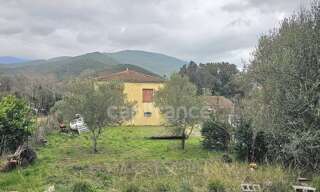 Maison 5 Pièces 193 m² à vendre à Omessa (20236)