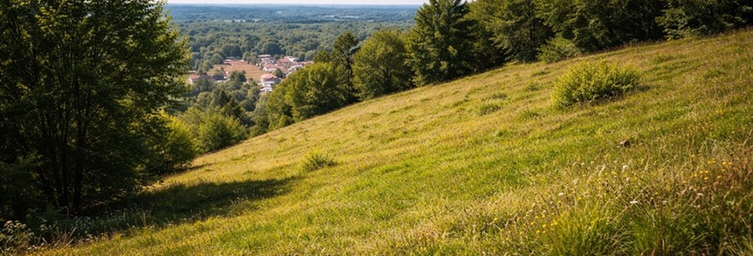 Terrain  866 m² à vendre à Mauzac (31410)