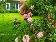 À VENDRE - SAMER - DOMAINE D'EXCEPTION - 379 M2 - ÉLÉGANTE DEMEURE DE CARACTERE SUR 3 HECTARES  - VIE SEMI PLAIN-PIED - 2 ÉME MAISON - DÉPENDANCES — photo 2