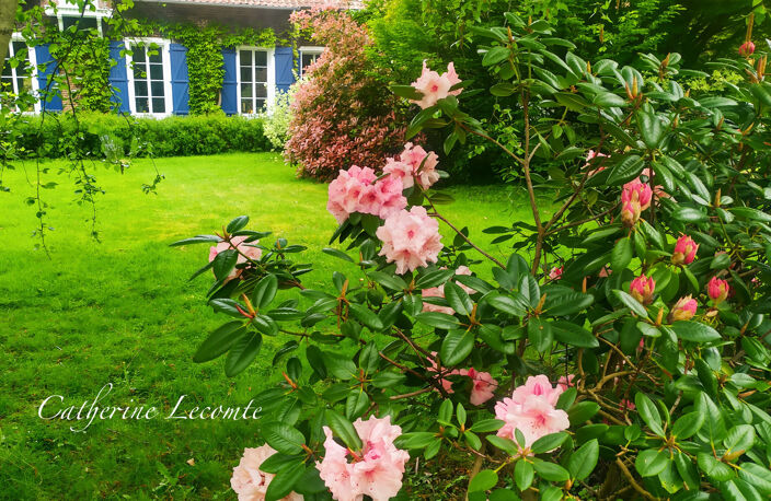 À VENDRE - SAMER - DOMAINE D'EXCEPTION - 379 M2 - ÉLÉGANTE DEMEURE DE CARACTERE SUR 3 HECTARES  - VIE SEMI PLAIN-PIED - 2 ÉME MAISON - DÉPENDANCES — photo 2