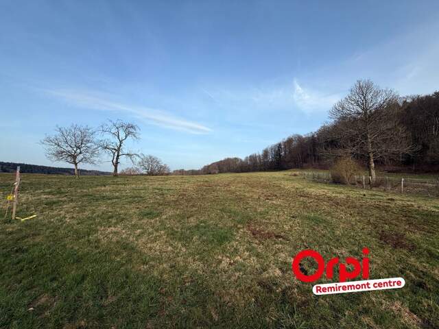 Terrain à vendre - Le Harriol — photo du bien