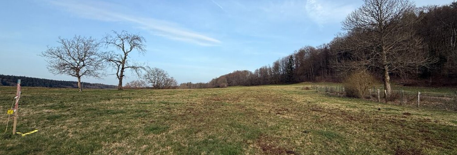 Terrain  3130 m² à vendre à Le Val-d'Ajol (88340)