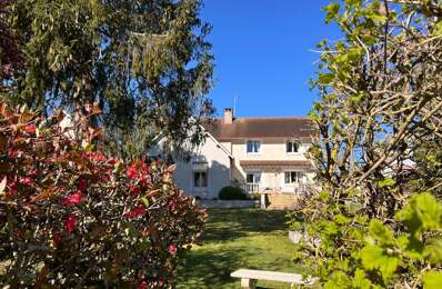 Maison À Vendre BEAUGENCY vue sur Loire — photo du bien