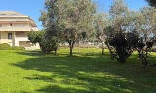 Appartement 2 Pièces 42 m² à vendre à Biguglia (20620)