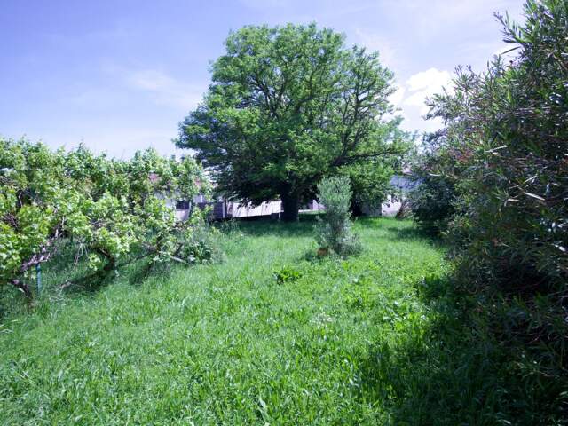 Terrain À Vendre — photo du bien