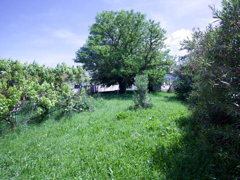 Terrain À Vendre — photo 1