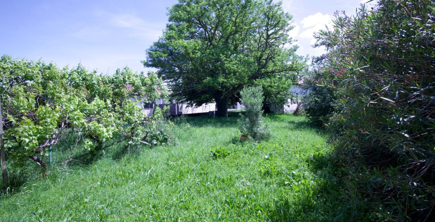 Terrain À Vendre — photo 1