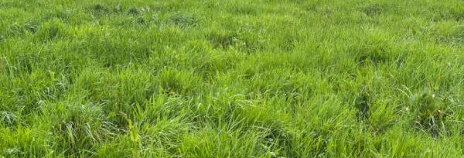 Terrain  466 m² à vendre à Oudon (44521)