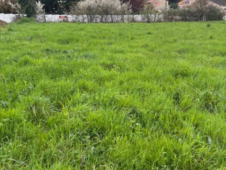A SAISIR OUDON TERRAIN  CONSTRUCTIBLE — photo 1